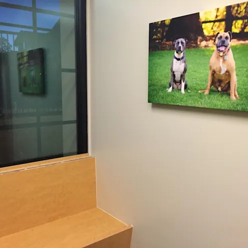 Chair with portrait Chair with portrait