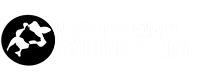 North Stewart Veterinary Clinic Logo North Stewart Veterinary Clinic Logo