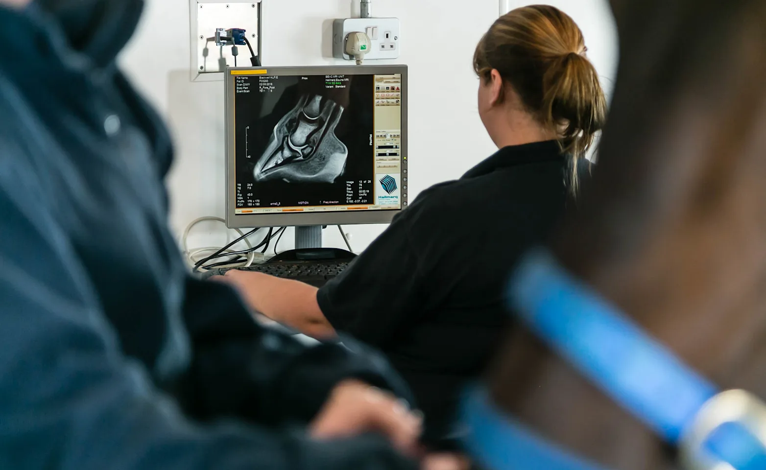 Equine MRI 4 Equine MRI 4