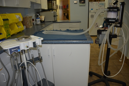 Dentistry Unit