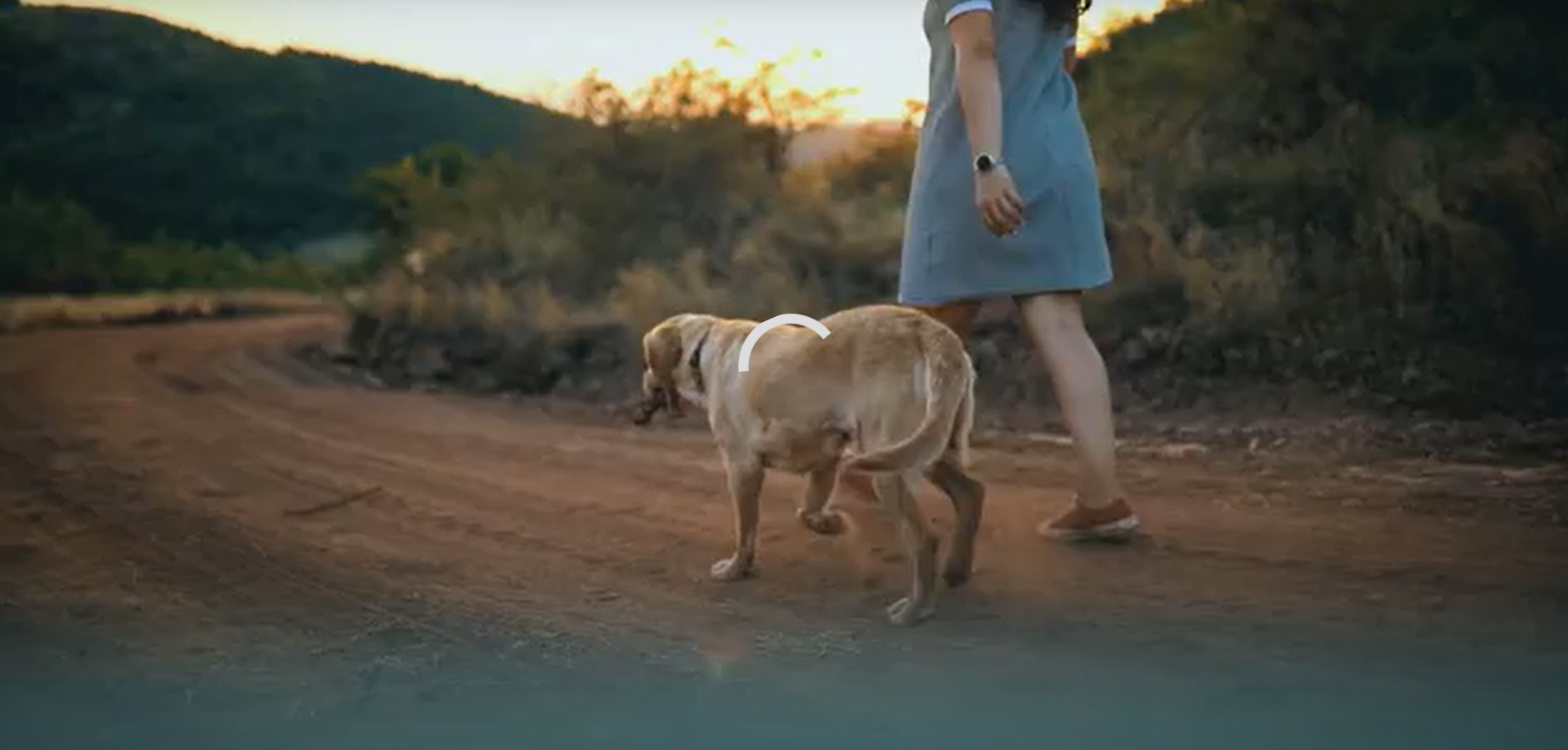 Dog and women walking