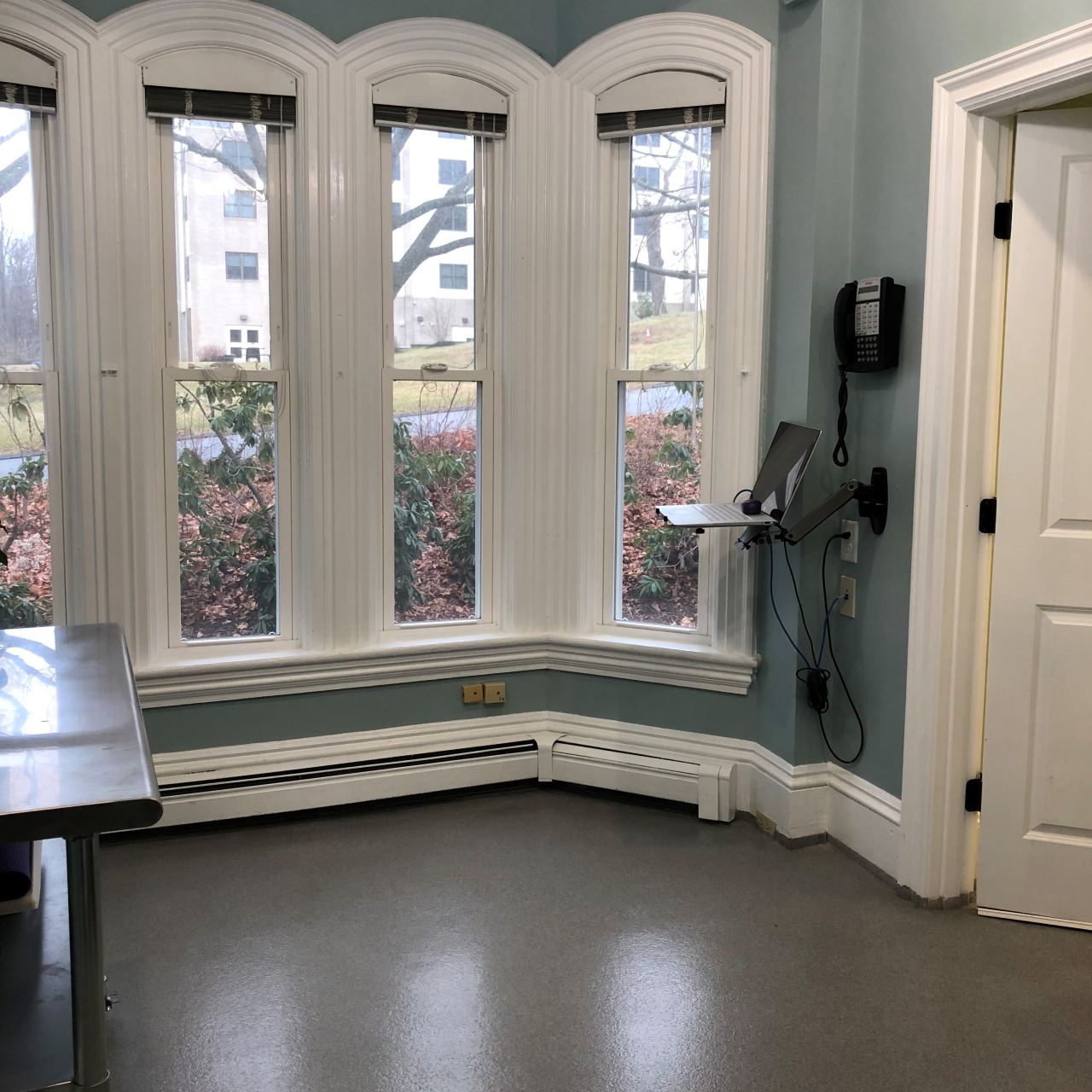 Exam room with computer and exam equipment and large windows at Court Street Animal Hospital