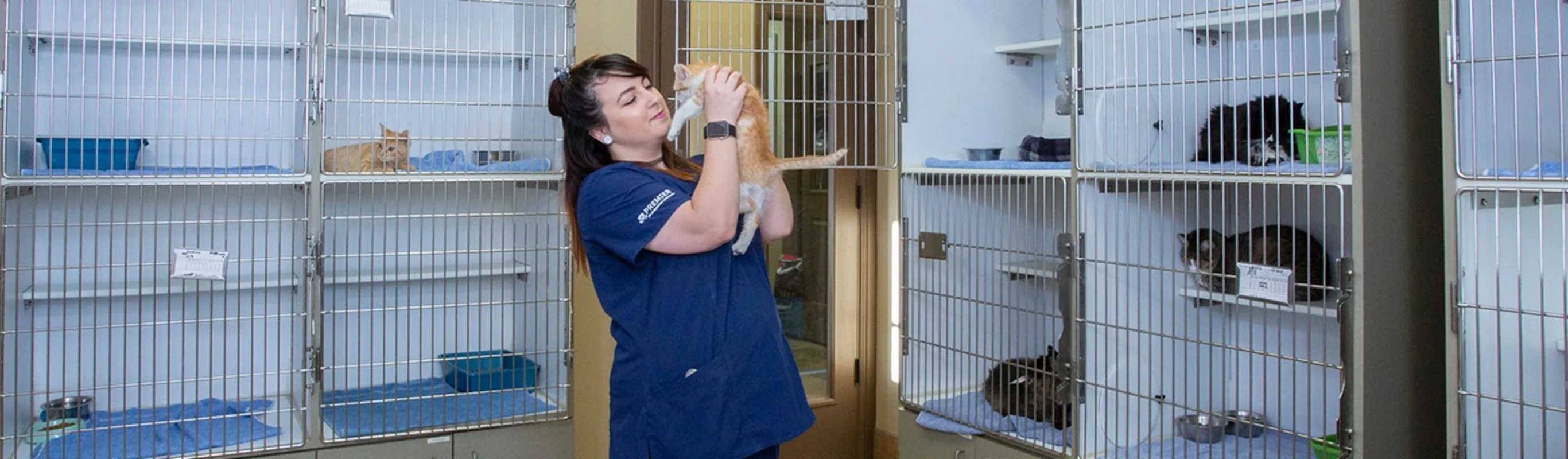 Roanoke staff holding kitten