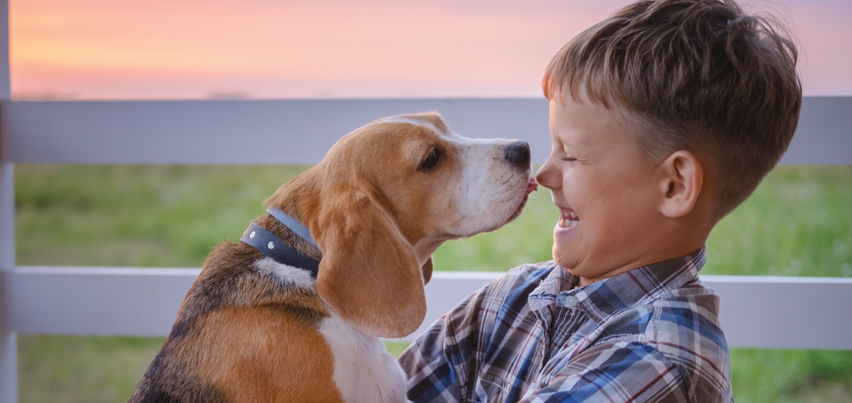 Veterinarian in Hanford, CA Hanford Veterinary Hospital