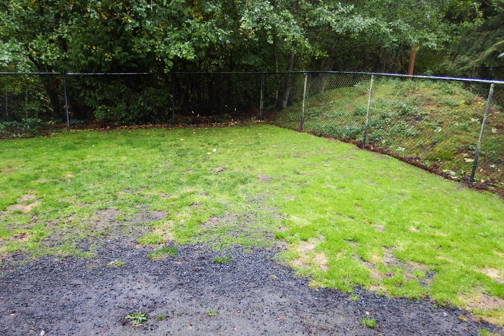 Angeles Clinic for Animals Boarding Yard