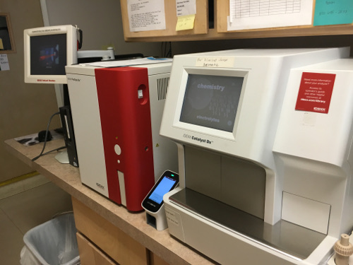 Our Lab Area at Brentwood Veterinary Hospital