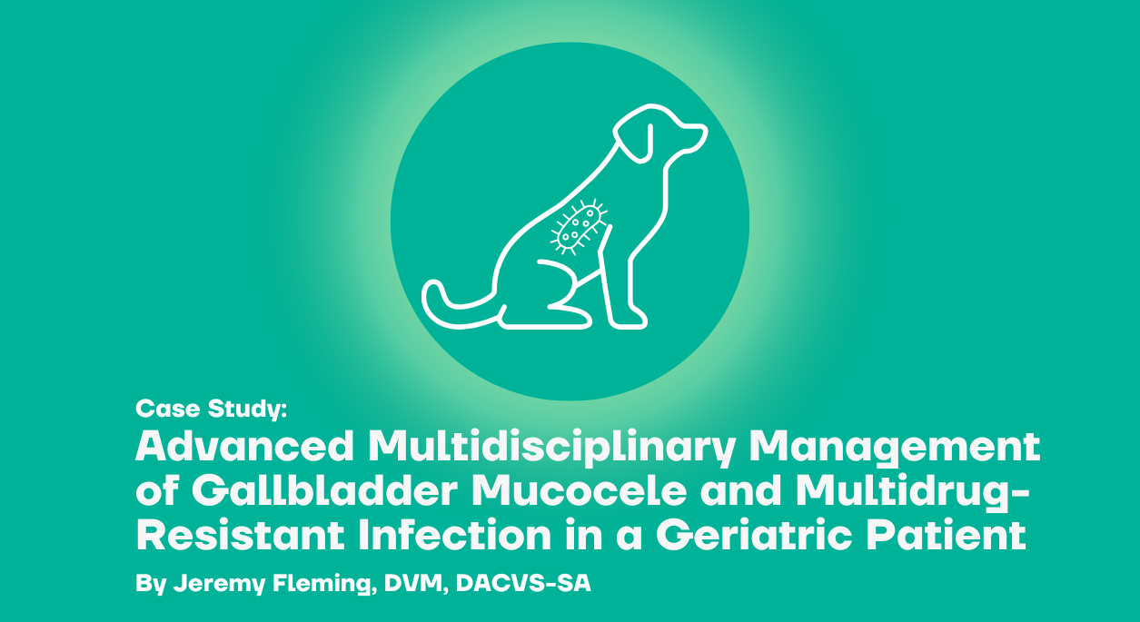 Advanced Multidisciplinary Management of Gallbladder Mucocele and Multidrug-Resistant Infection in a Geriatric Patient