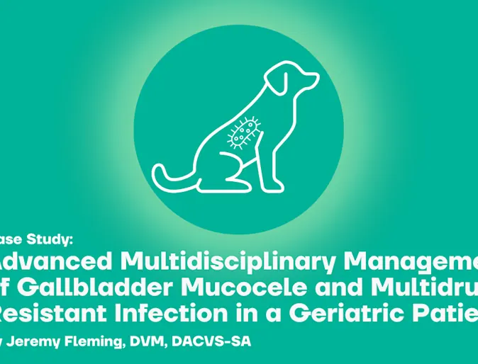 Advanced Multidisciplinary Management of Gallbladder Mucocele and Multidrug-Resistant Infection in a Geriatric Patient Advanced Multidisciplinary Management of Gallbladder Mucocele and Multidrug-Resistant Infection in a Geriatric Patient