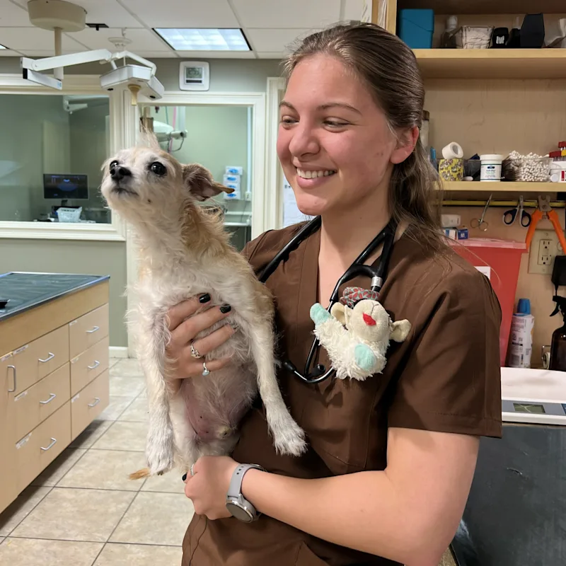 Dr. Ava Swinarski Dr. Ava Swinarski