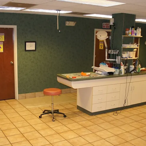 Treatment room Treatment room