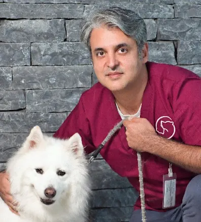 A portrait photo of Soroud A portrait photo of Soroud