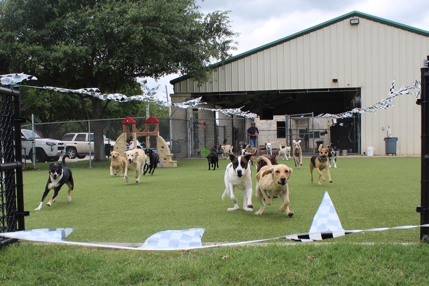 Houston's #1 Dog Daycare and Boarding