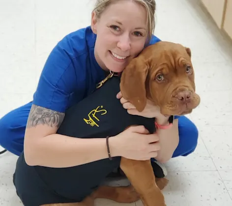 Staff member hugging a dog Staff member hugging a dog