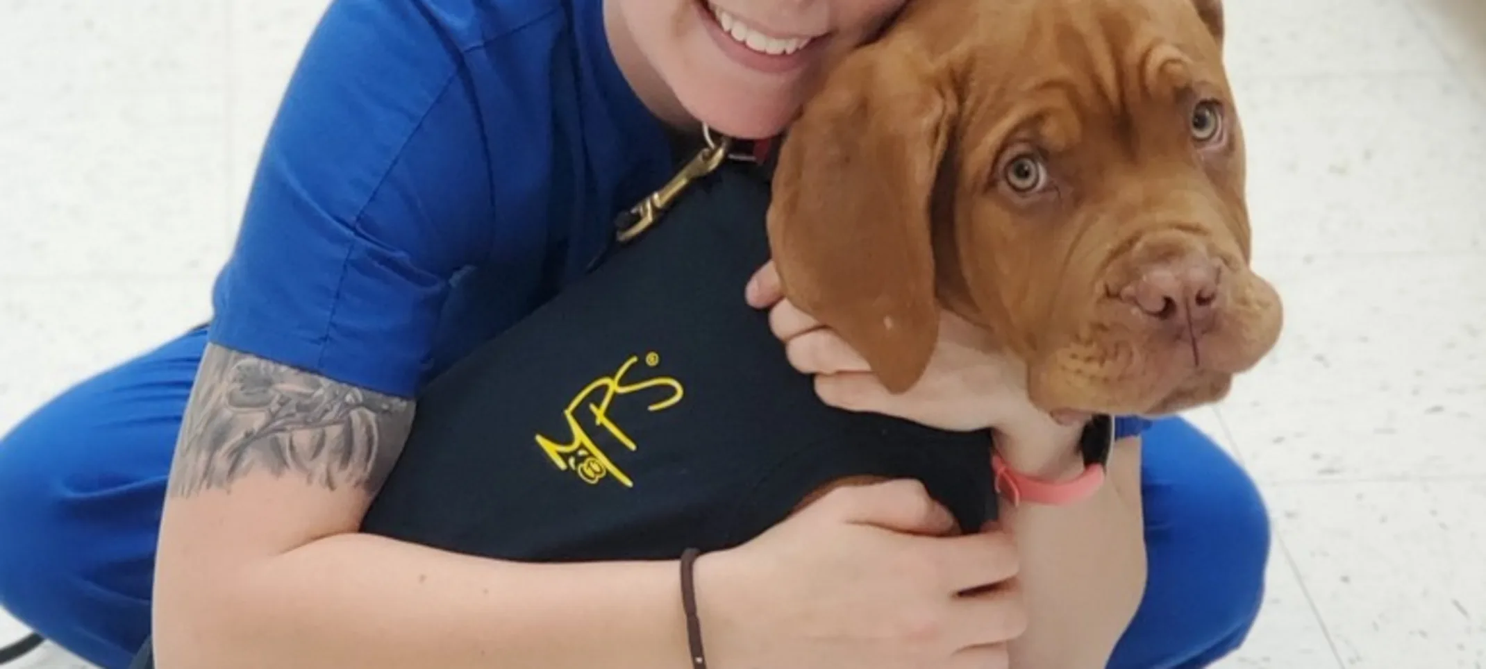 Staff member hugging a dog Staff member hugging a dog