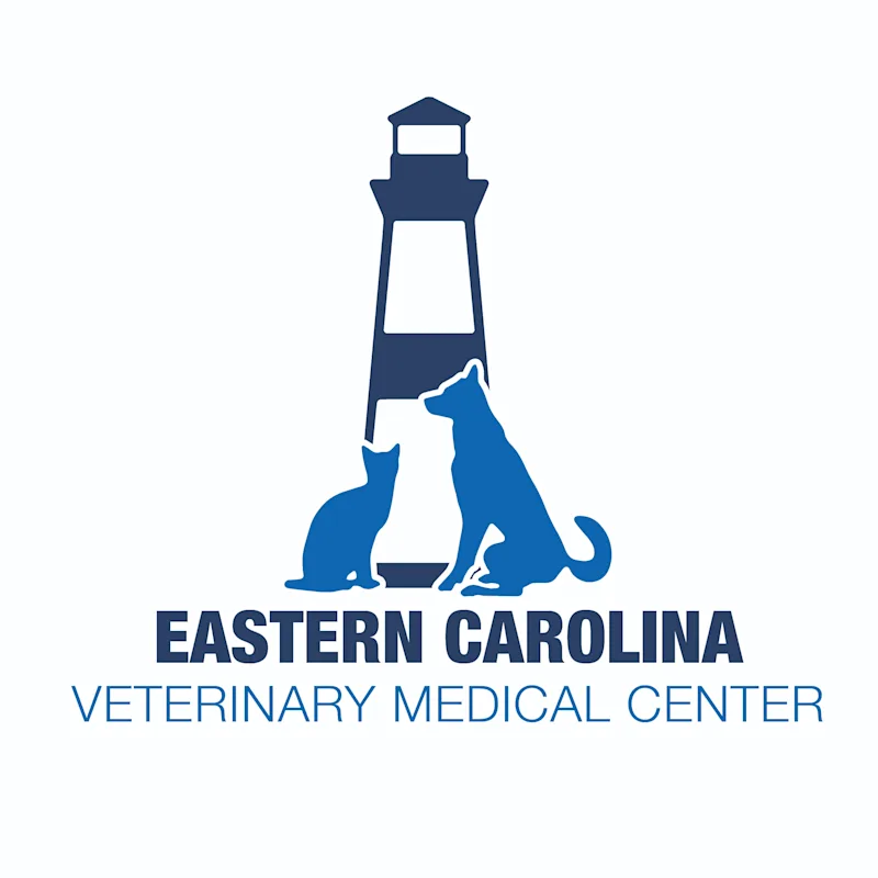 Deb Bomberger Deb Bomberger