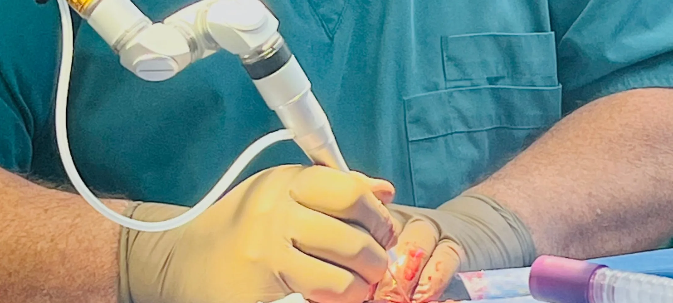 Surgical laser at Southside Animal Hospital Surgical laser at Southside Animal Hospital