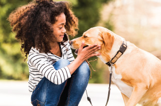 Queen West Animal Hospital
