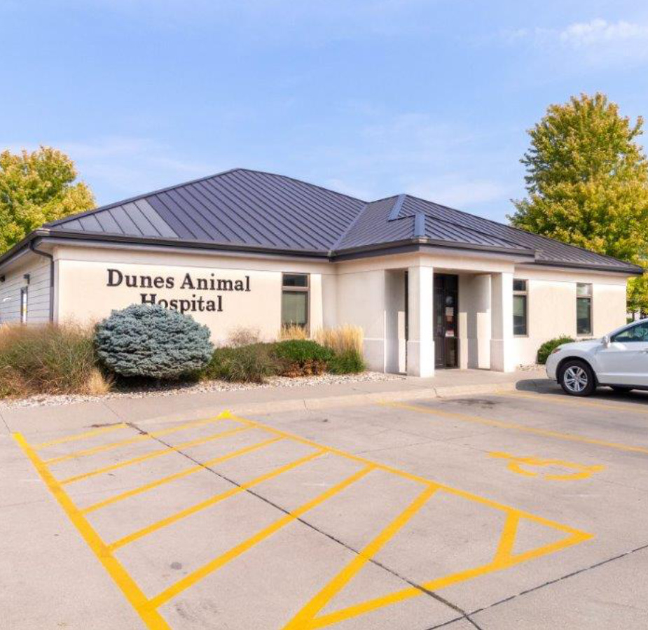 The façade of Dunes Animal Hospital