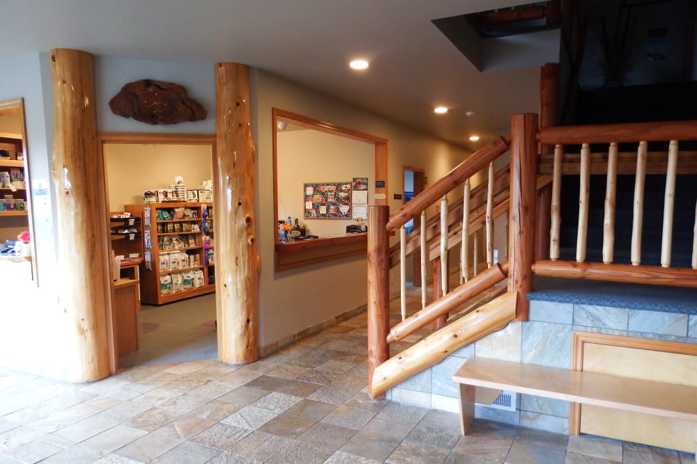 Angeles Clinic for Animals Lobby area