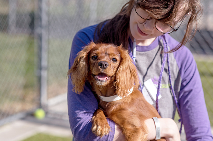 A PetSuites dog groomer holds a dog in their arms. 