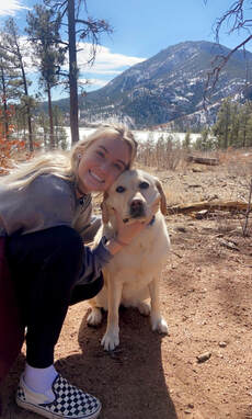 Afton Woodmoor Veterinary Hospital and Pet Lodge