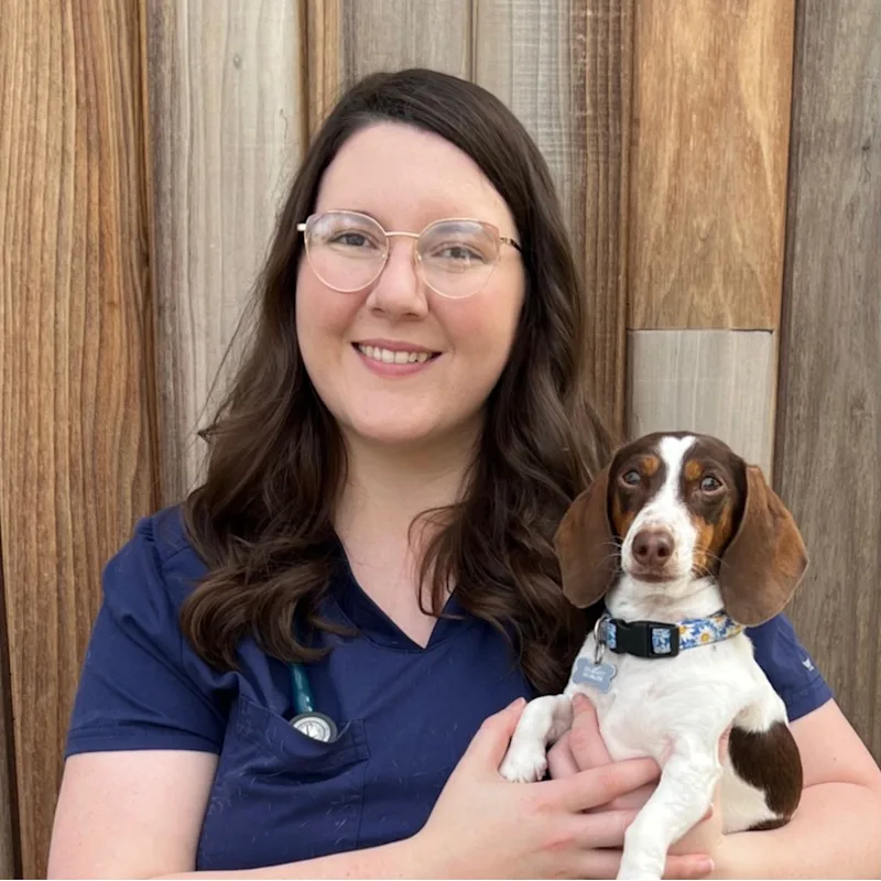 Dr. Nicole Alleva Dr. Nicole Alleva