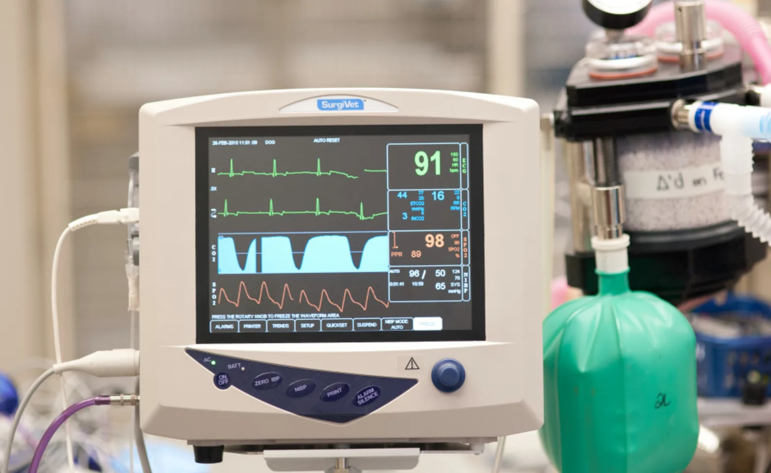 What is Anesthesia (Monitor) at Veterinary Emergency and Referral Hospital of West Toronto What is Anesthesia (Monitor) at Veterinary Emergency and Referral Hospital of West Toronto
