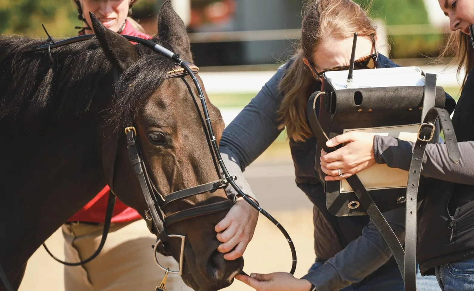 Disinfectant scrub before SI injection Disinfectant scrub before SI injection