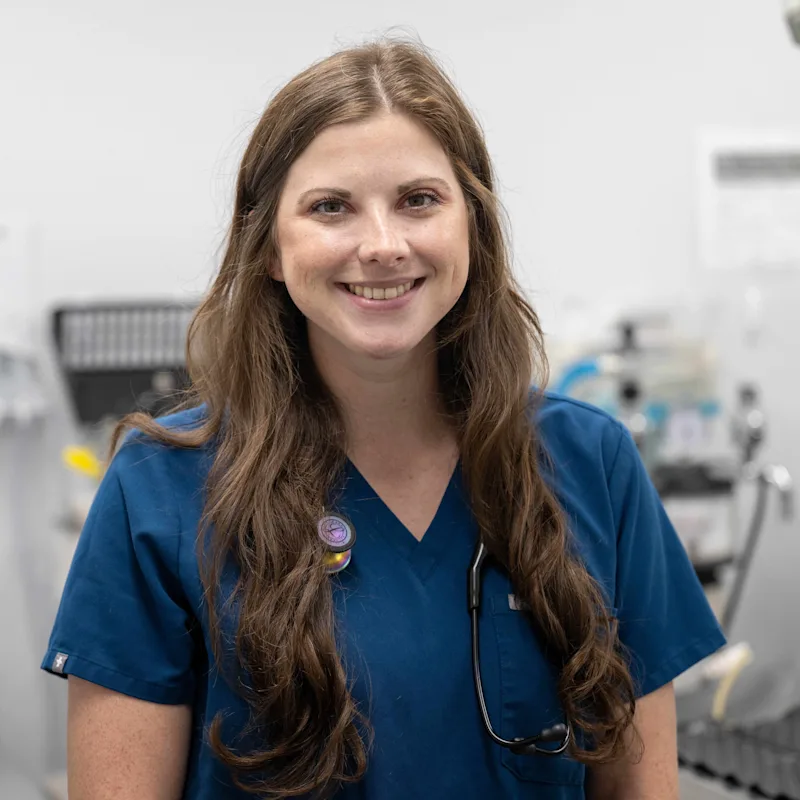 Dr. Sutton of Animal Medical Center - Tuscaloosa Dr. Sutton of Animal Medical Center - Tuscaloosa