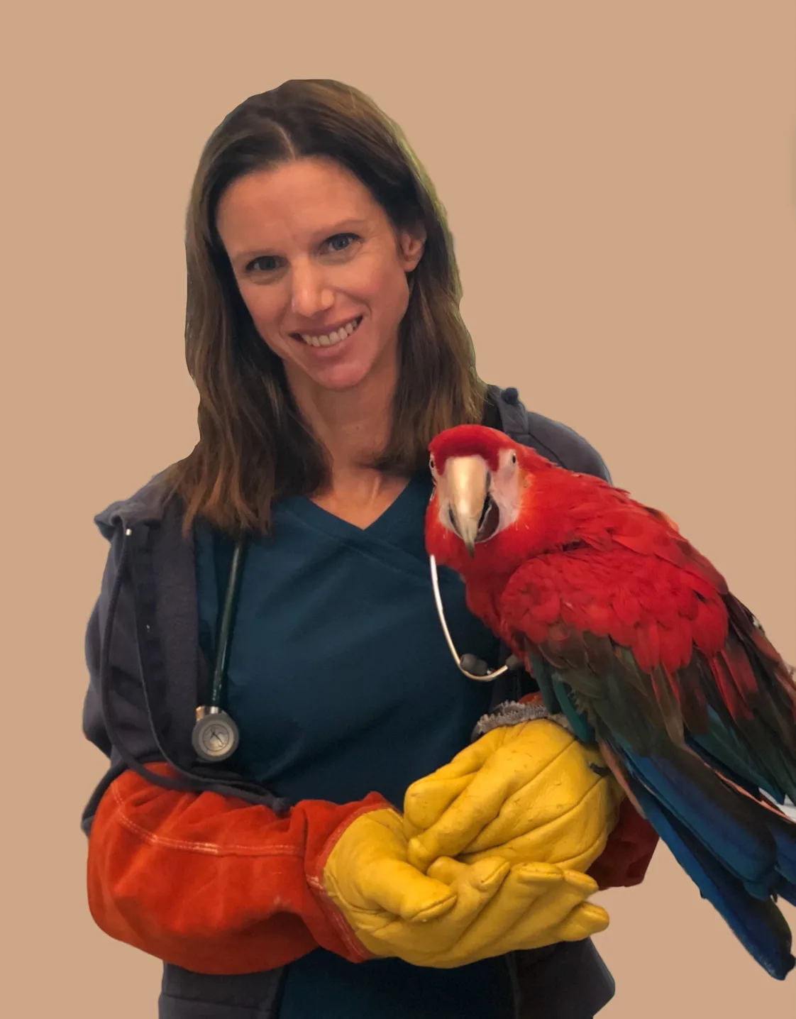 Dr. Marie Hatlelid Dr. Marie Hatlelid