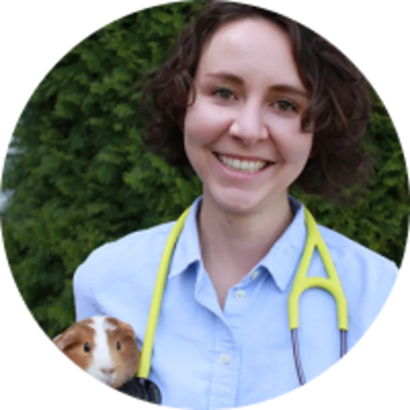 Sophie Ascaso, DVM at Garland Animal Clinic Sophie Ascaso, DVM at Garland Animal Clinic