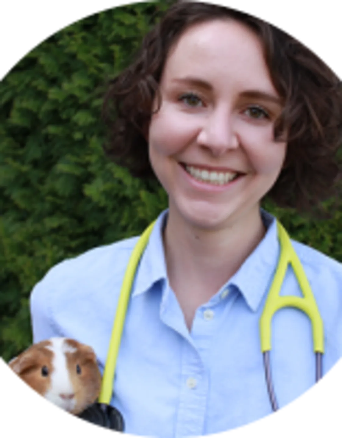 Sophie Ascaso, DVM at Garland Animal Clinic Sophie Ascaso, DVM at Garland Animal Clinic