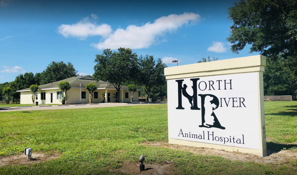 Front of the building with the sign for North River Animal Hospital 