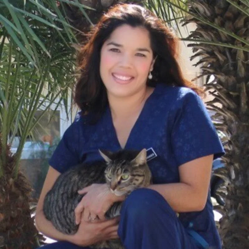 Kim Hinojosa of North 10th Street Animal Hospital Kim Hinojosa of North 10th Street Animal Hospital