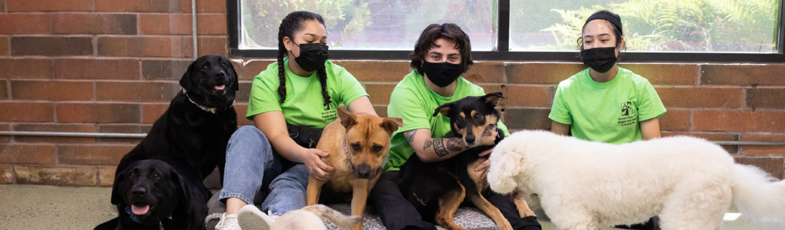 Group of Staff with Dogs at Arroyo Vista Veterinary Hospital