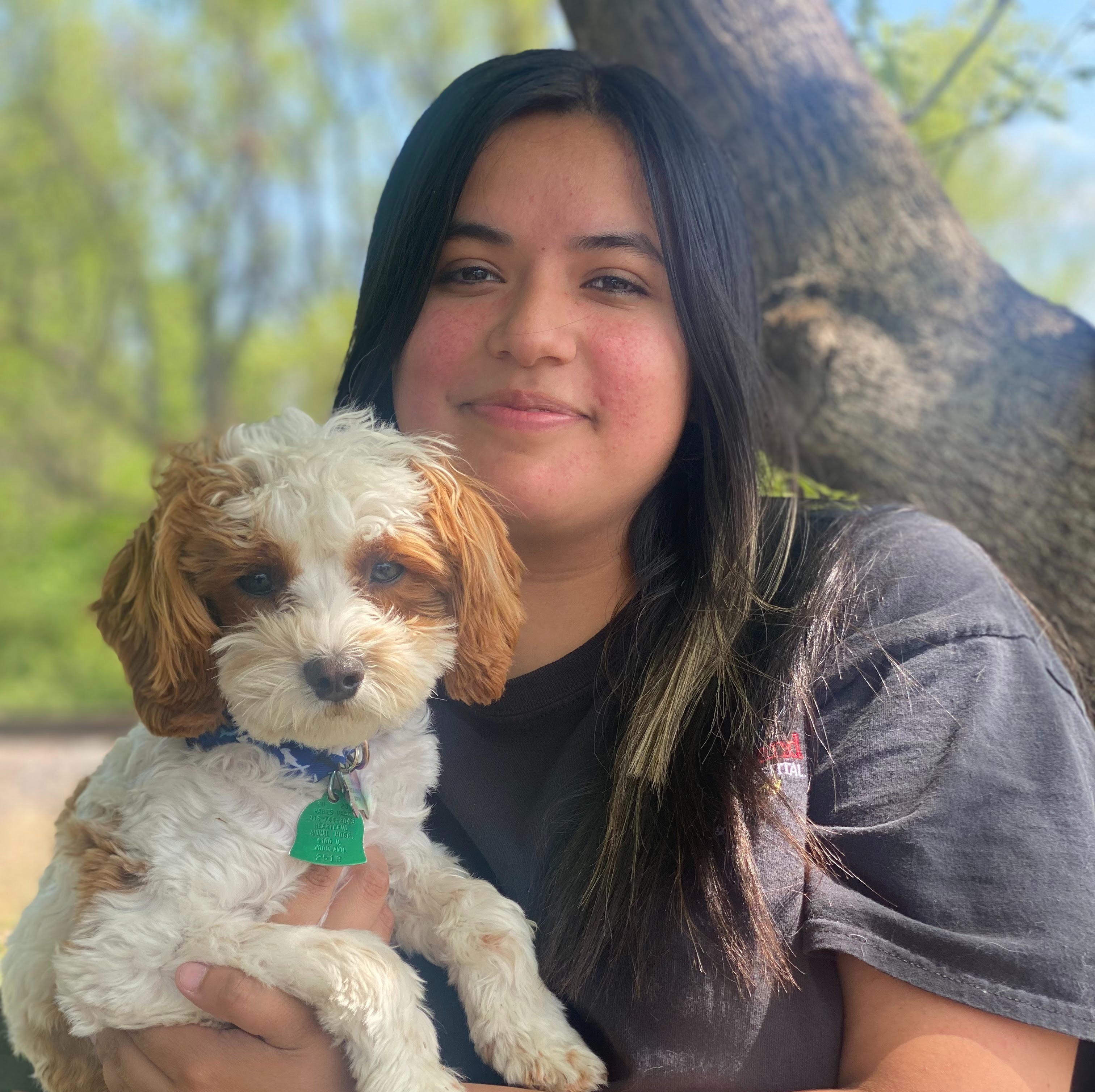 Giselle Heartland Animal Hospital