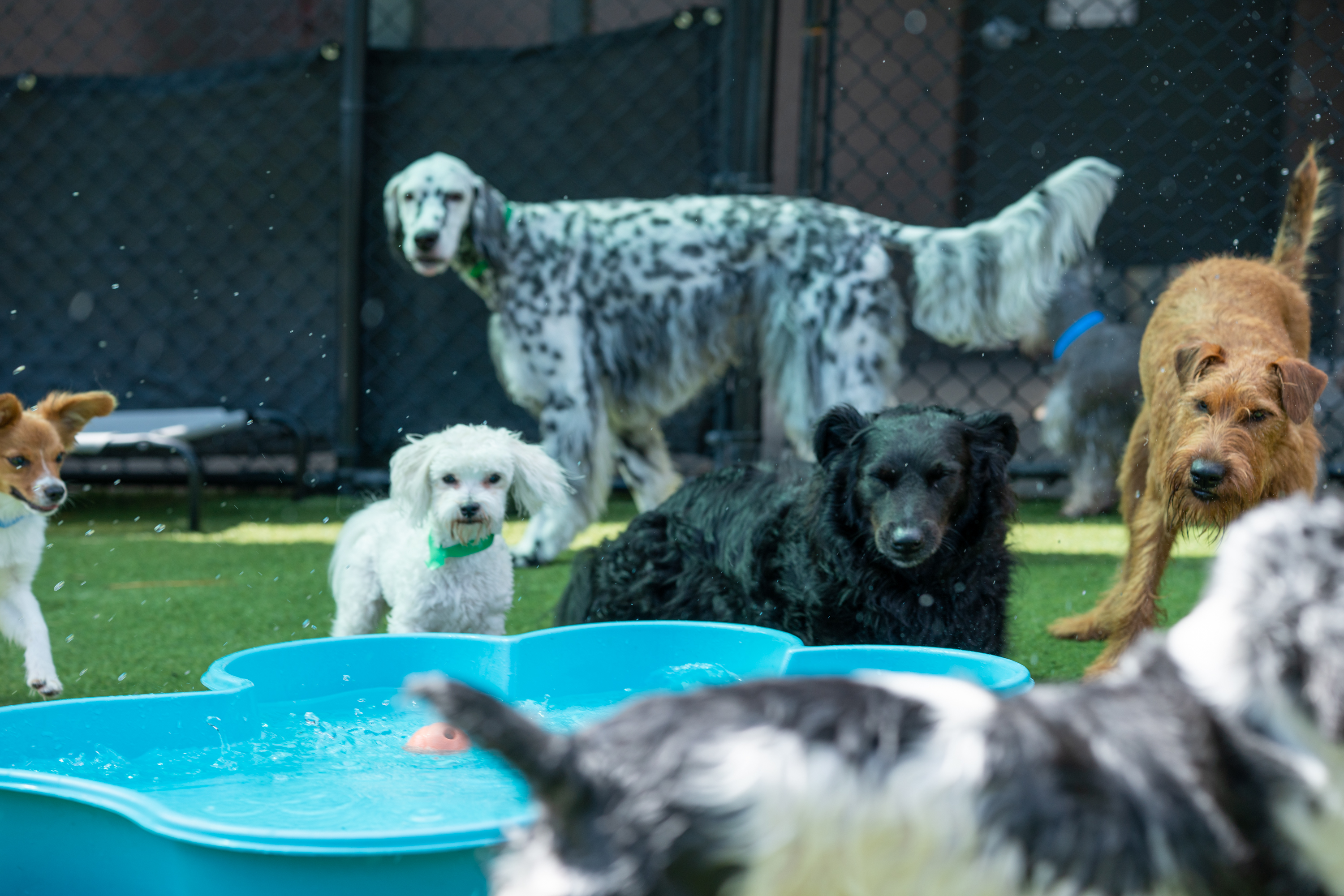 The Lodge at New Tampa Small Pool