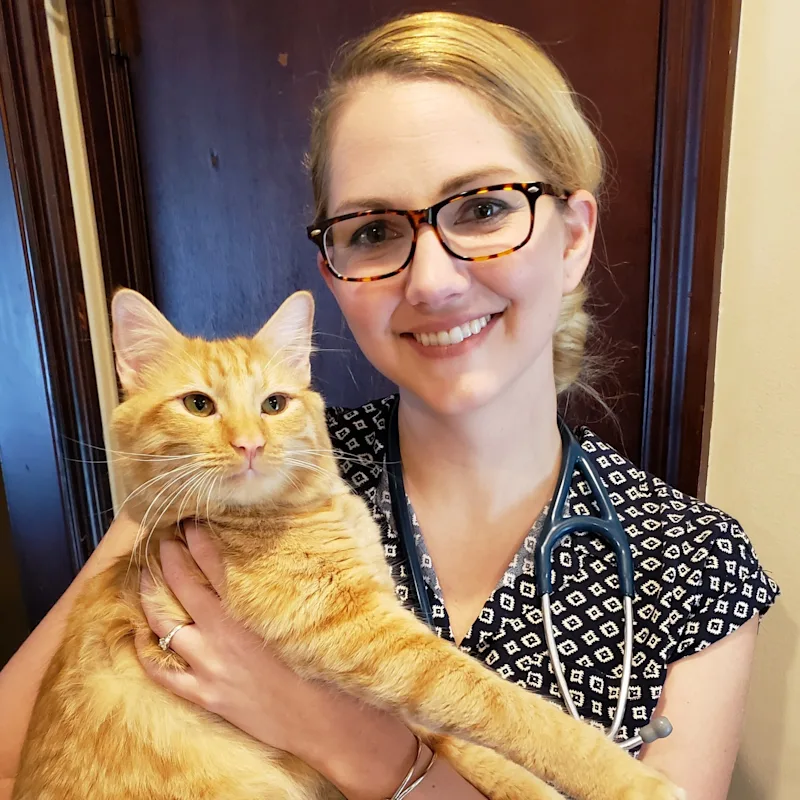 Dr. Jenny Elsbree Dr. Jenny Elsbree