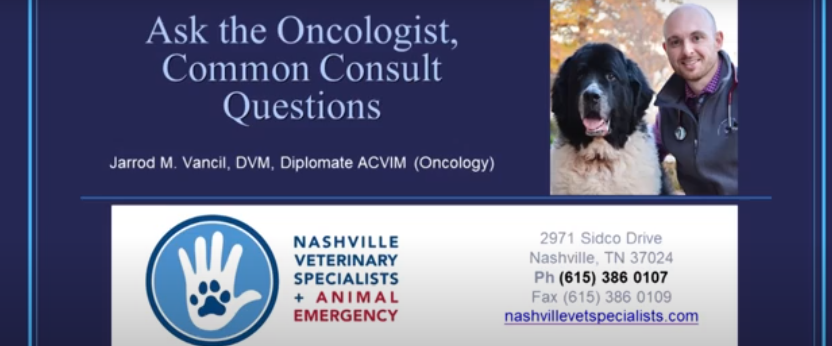 Homepage | Nashville Veterinary Specialists
