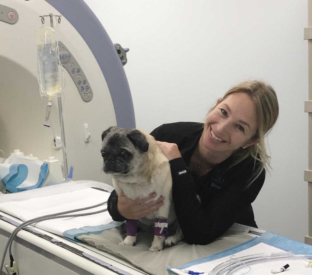 A SCAN staff member posing with a pug by the imaging equipment