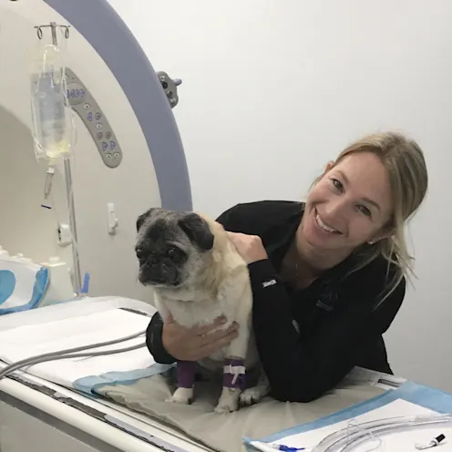 A SCAN staff member posing with a pug by the imaging equipment A SCAN staff member posing with a pug by the imaging equipment
