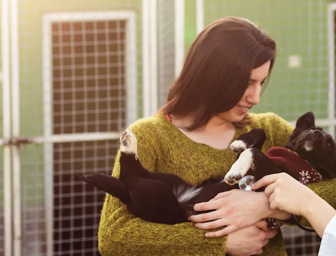 Dog and Woman at Pet Shelter Dog and Woman at Pet Shelter
