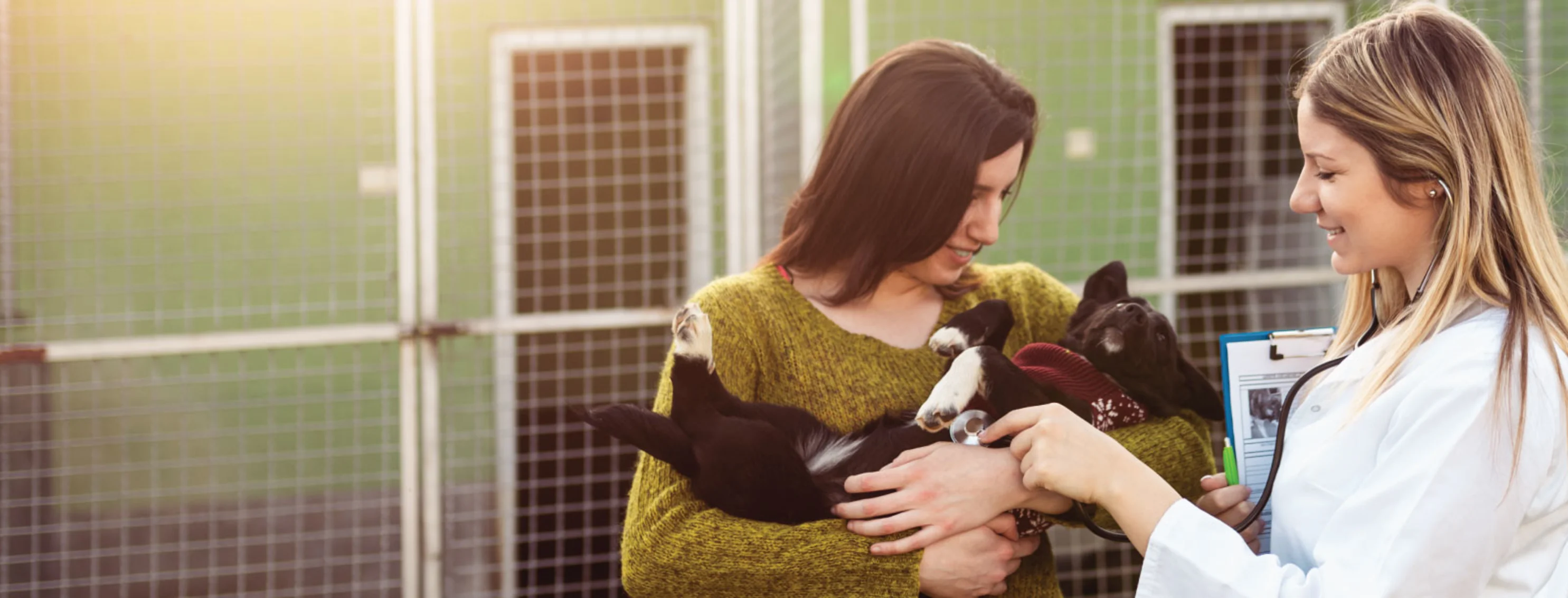 Dog and Woman at Pet Shelter
