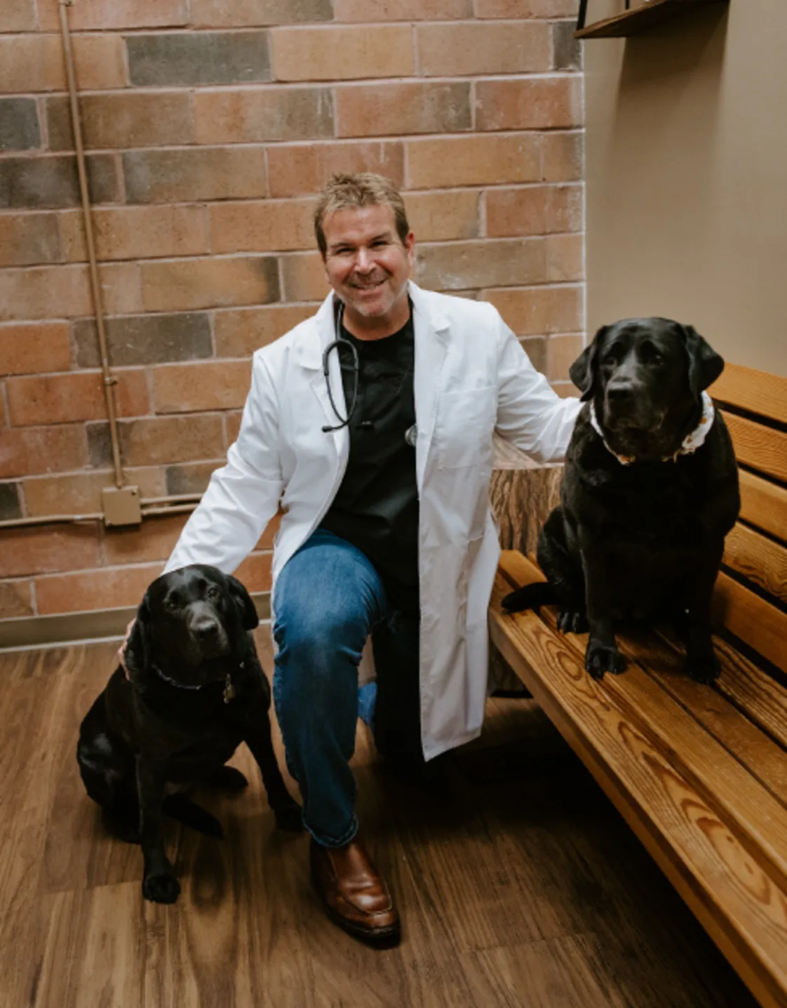 Dr. John Gonda, DVM at Arroyo Vista Veterinary Hospital Dr. John Gonda, DVM at Arroyo Vista Veterinary Hospital