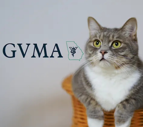 Georgia Veterinary Medical Association Georgia Veterinary Medical Association