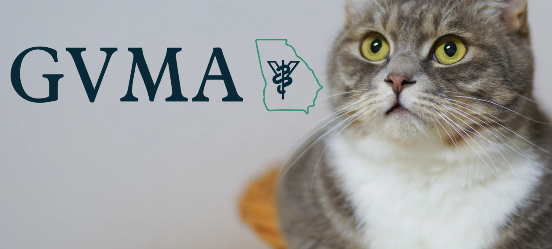 Georgia Veterinary Medical Association Georgia Veterinary Medical Association