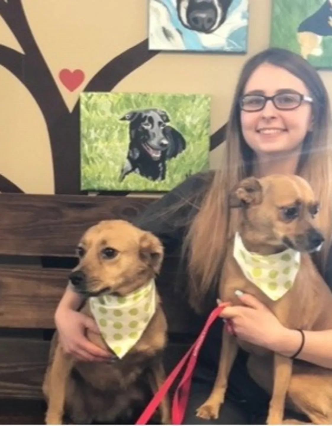 Katie with three dogs Katie with three dogs