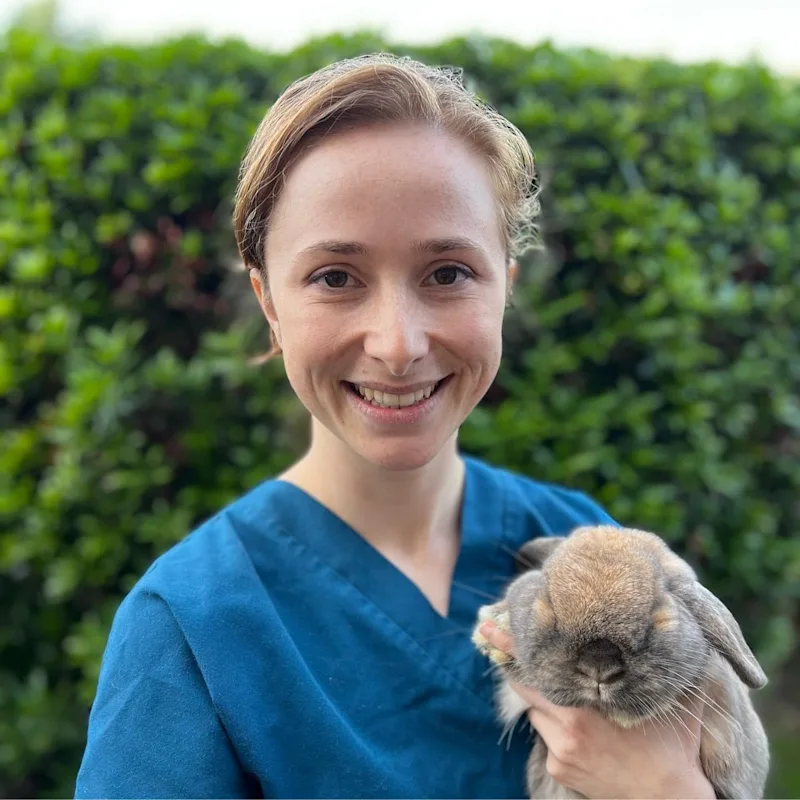 Dr. Rae Porter-Blackwell Dr. Rae Porter-Blackwell