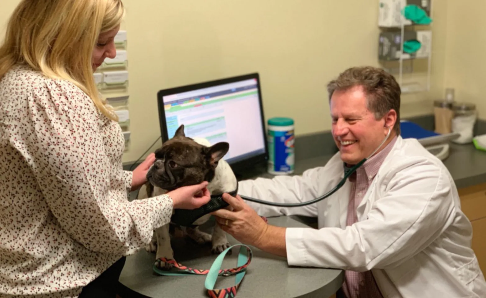 Veterinarian Examining a Small Black Dog with its Owner