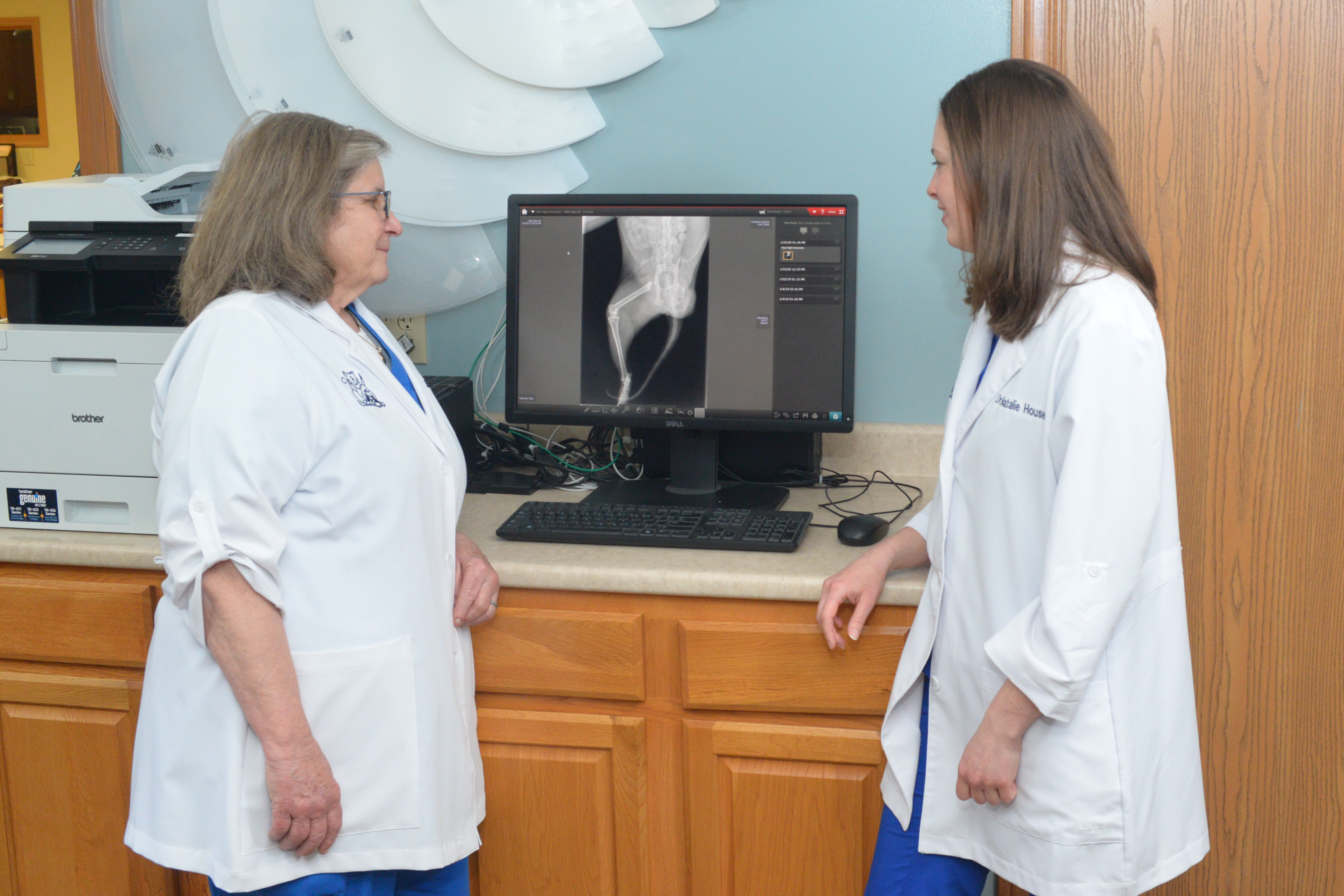 Two veterinarians observing a scan on a computer screen